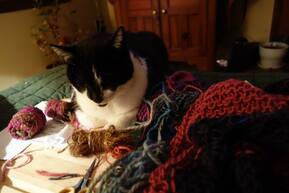 Tuxedo cat surrounded by knitting yarn